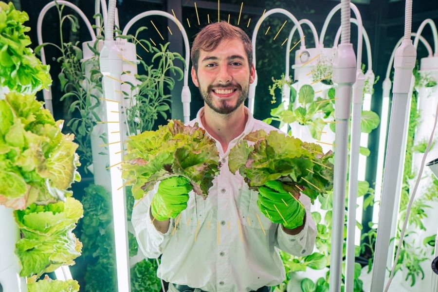 Vertical Farming is the Next Step for Grocery Stores